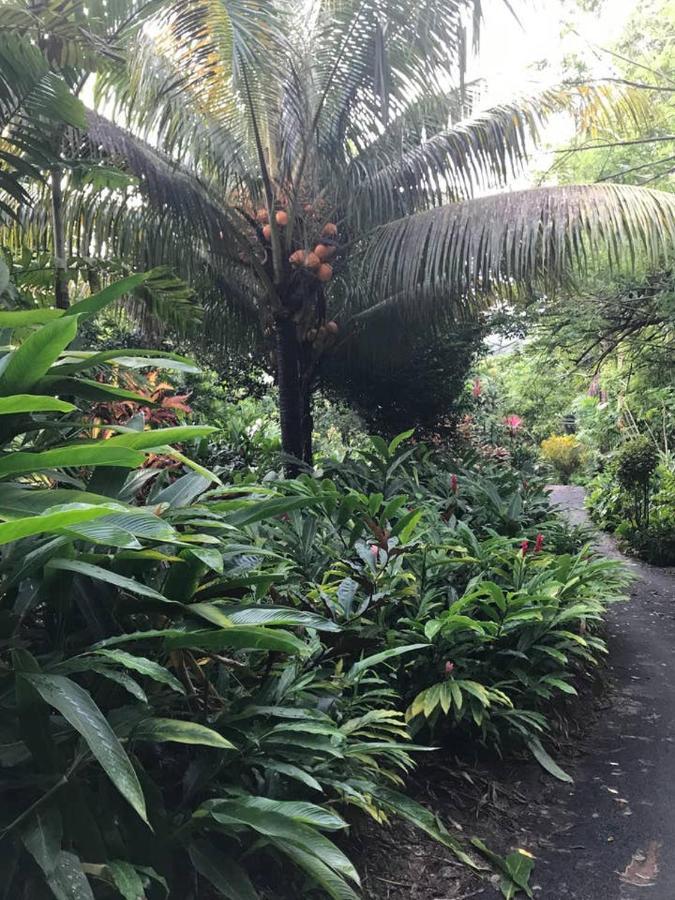 Tropical Garden Self Catering Villa Victoria Kültér fotó